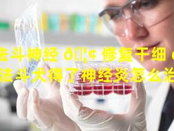 法斗神经 🦢 修复干细 🐬 胞（法斗犬得了神经炎怎么治疗）